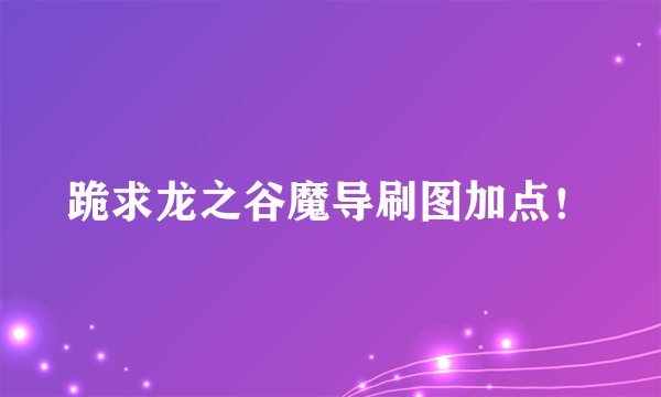 跪求龙之谷魔导刷图加点！