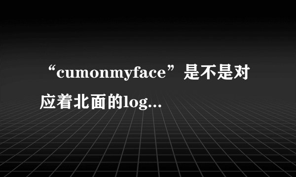 “cumonmyface”是不是对应着北面的logo标识呢？