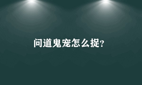 问道鬼宠怎么捉？