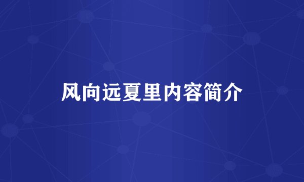 风向远夏里内容简介