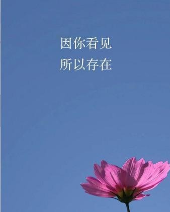 微信时刻视频在哪里，时刻视频怎么用怎么退出