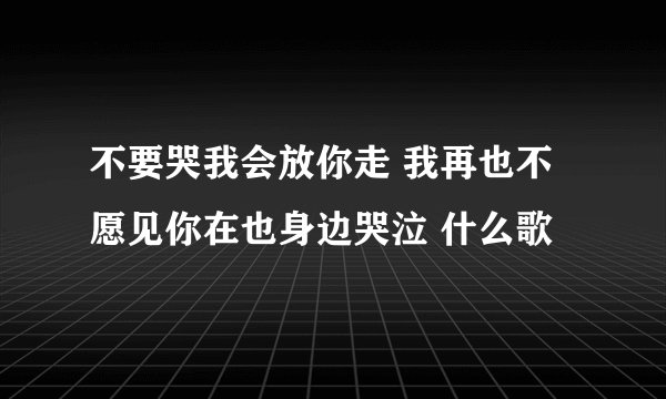 不要哭我会放你走 我再也不愿见你在也身边哭泣 什么歌