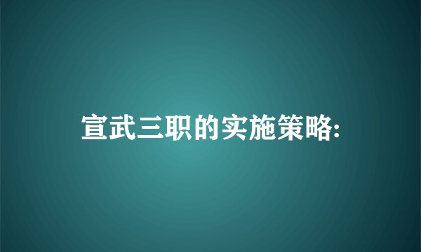 宣武三职的实施策略: