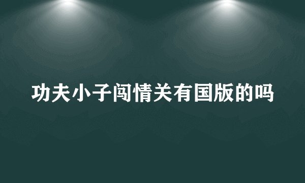 功夫小子闯情关有国版的吗