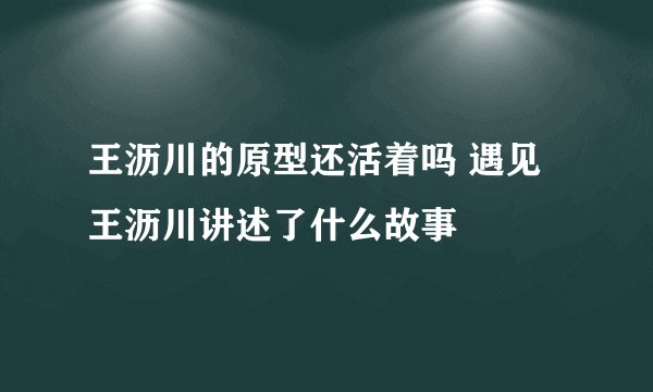 王沥川的原型还活着吗 遇见王沥川讲述了什么故事