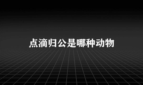 点滴归公是哪种动物