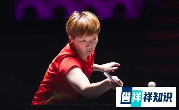 今日看点：孙颖莎迎战陈幸同谁能晋级？王曼昱对阵申裕斌获胜无忧