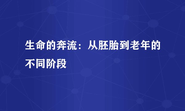 生命的奔流：从胚胎到老年的不同阶段