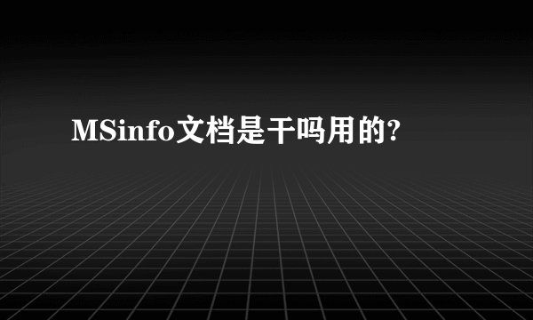 MSinfo文档是干吗用的?