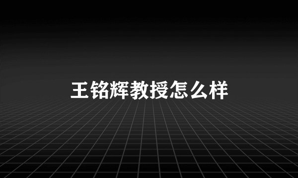 王铭辉教授怎么样