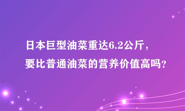 日本巨型油菜重达6.2公斤，要比普通油菜的营养价值高吗？