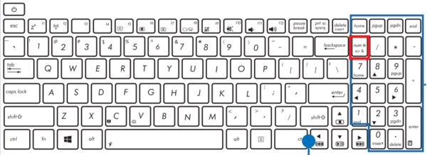 华硕笔记本键盘上数字键和字母键怎样切换