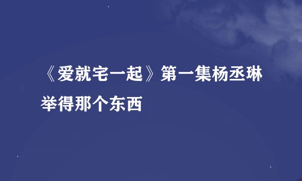 《爱就宅一起》第一集杨丞琳举得那个东西