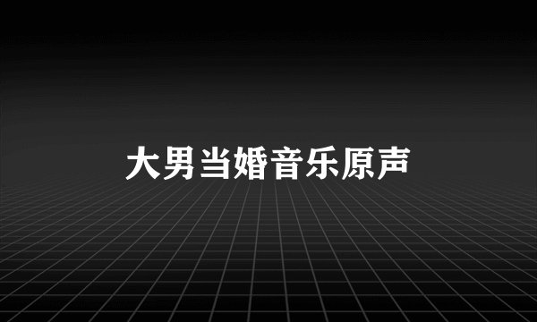 大男当婚音乐原声