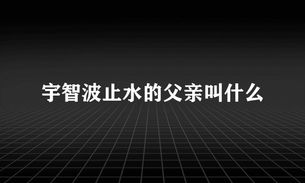 宇智波止水的父亲叫什么