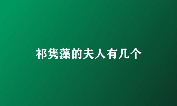 祁隽藻的夫人有几个