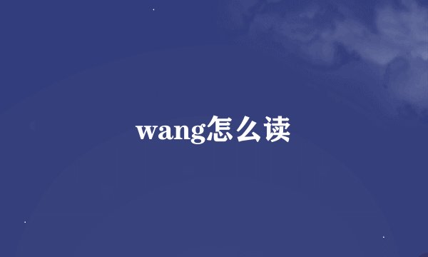 wang怎么读