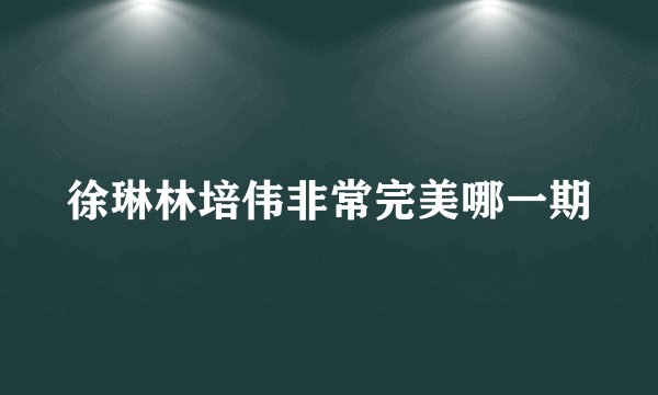 徐琳林培伟非常完美哪一期