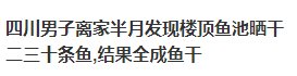 四川男子离家半个月鱼池全晒干：满地都是小鱼干，当地的天气到底有多热？