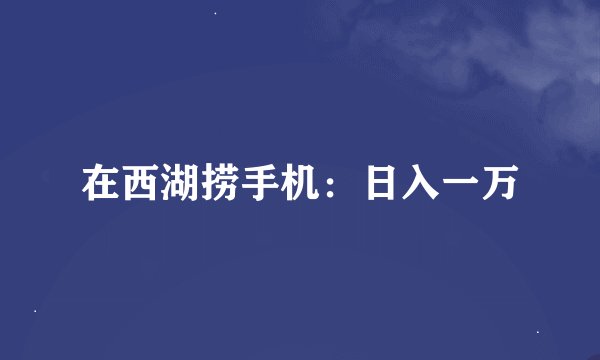 在西湖捞手机：日入一万