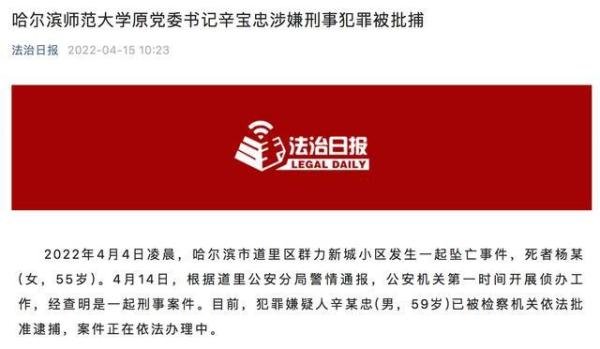 妻子坠亡 高校原书记被批捕