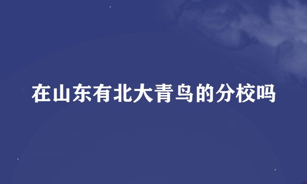 在山东有北大青鸟的分校吗