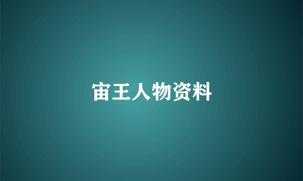 宙王人物资料