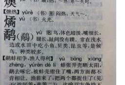 潇的拼音组词