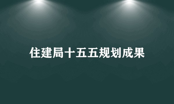 住建局十五五规划成果