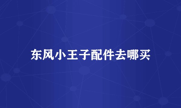 东风小王子配件去哪买