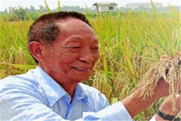 抖音回应袁隆平账号已注销，这些营销号终于被制止了吗？