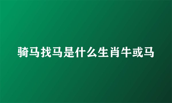 骑马找马是什么生肖牛或马