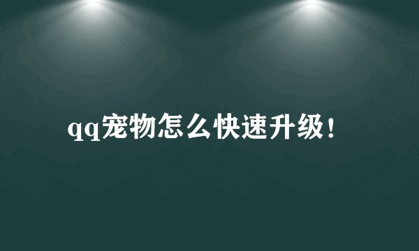 qq宠物怎么快速升级！