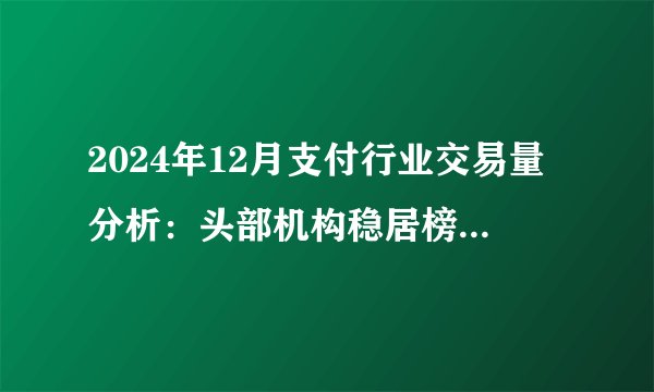 2024年12月支付行业交易量分析:头部机构稳居榜首,市场竞争格局逐渐稳定
