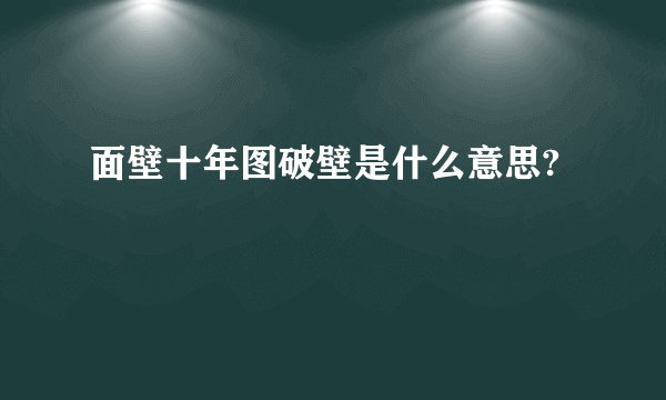 面壁十年图破壁是什么意思?