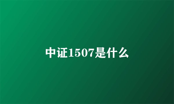 中证1507是什么