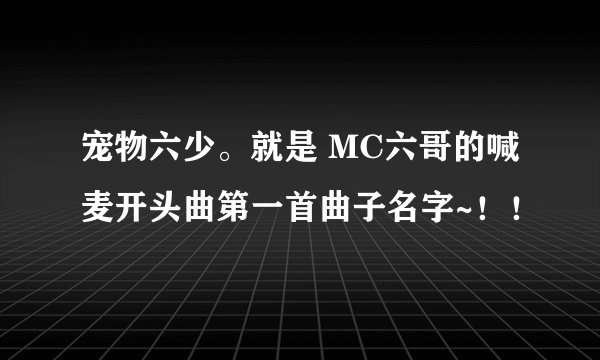 宠物六少。就是 MC六哥的喊麦开头曲第一首曲子名字~！！