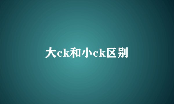 大ck和小ck区别