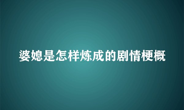 婆媳是怎样炼成的剧情梗概