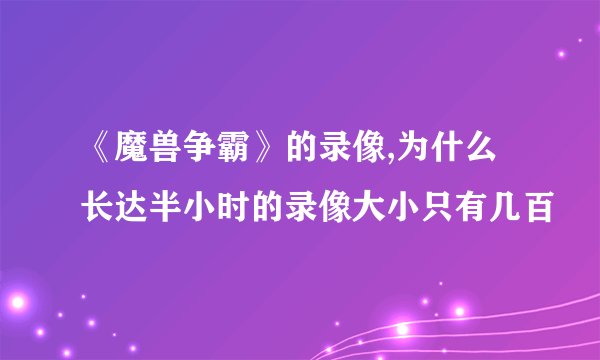 《魔兽争霸》的录像,为什么长达半小时的录像大小只有几百