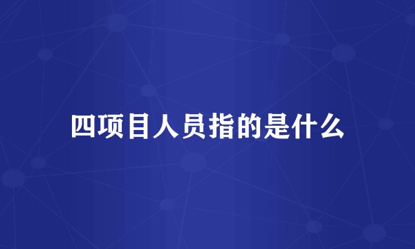 四项目人员指的是什么