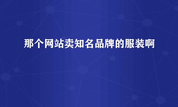 那个网站卖知名品牌的服装啊