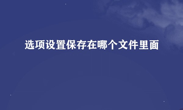 选项设置保存在哪个文件里面