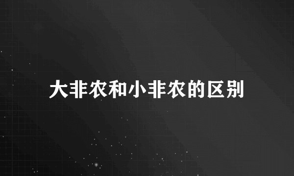 大非农和小非农的区别