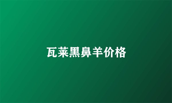 瓦莱黑鼻羊价格