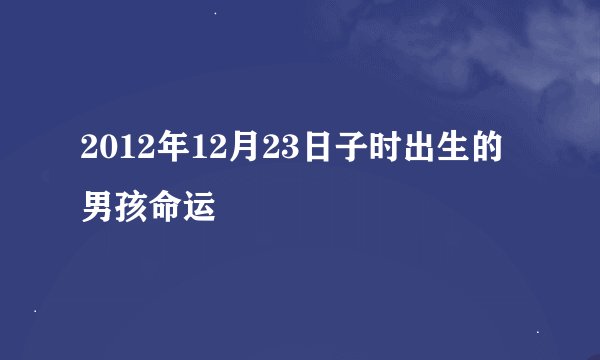 2012年12月23日子时出生的男孩命运