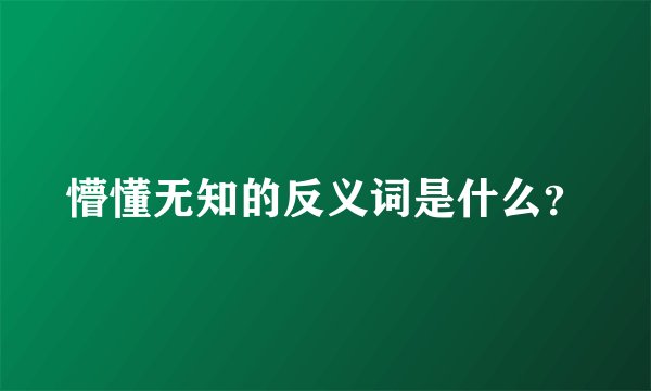 懵懂无知的反义词是什么？