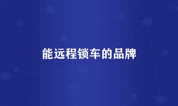 能远程锁车的品牌