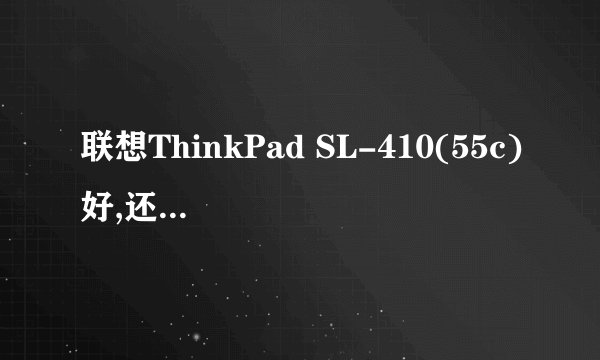 联想ThinkPad SL-410(55c)好,还是Y450A-TSI好?