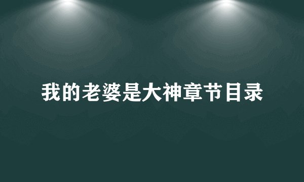 我的老婆是大神章节目录